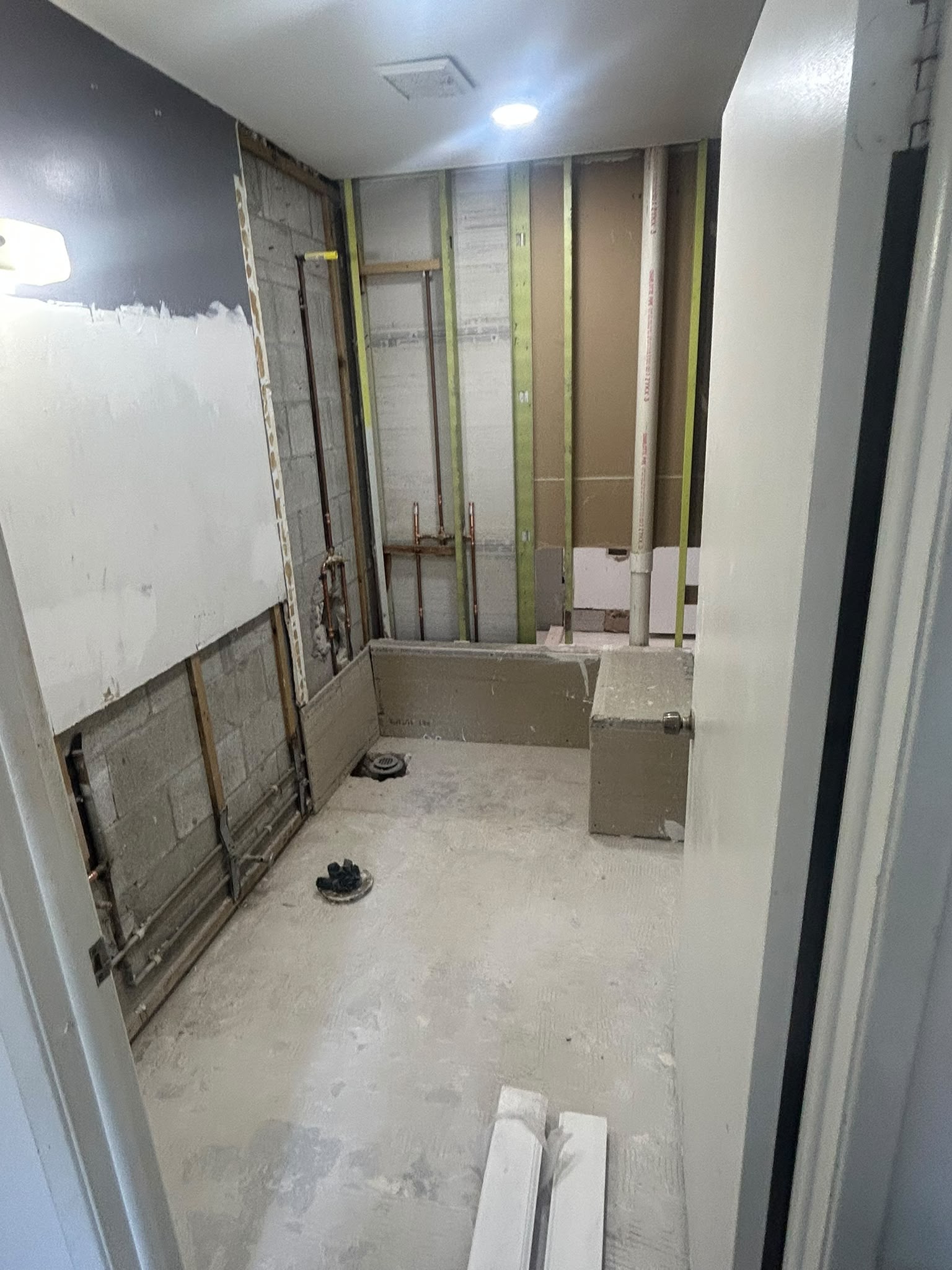 Bathroom gutted to studs with plumbing exposed